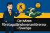 Den bästa företagslåneleverantören i Sverige bikrisohoj